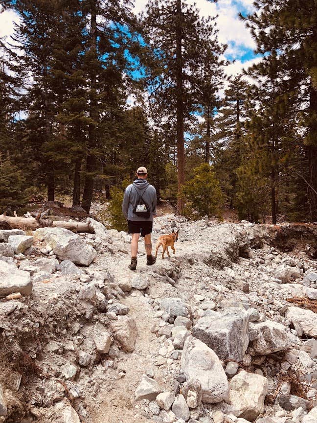 Camper submitted image from San Gorgonio Campground - 4
