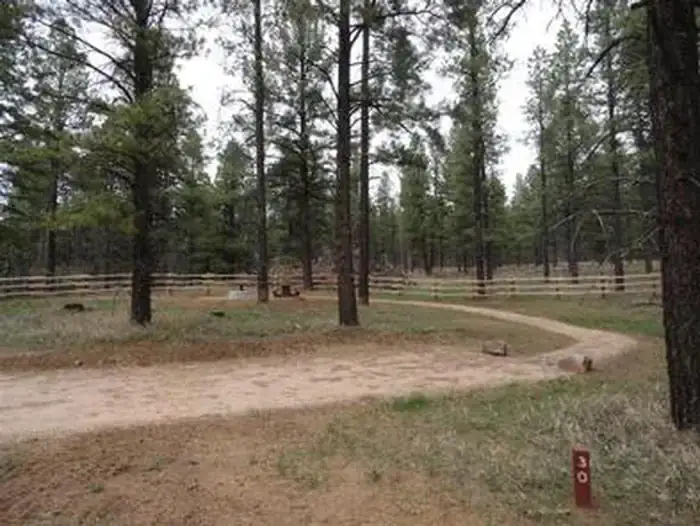 Camper-submitted photo at Buckeye Campground near Nucla, CO