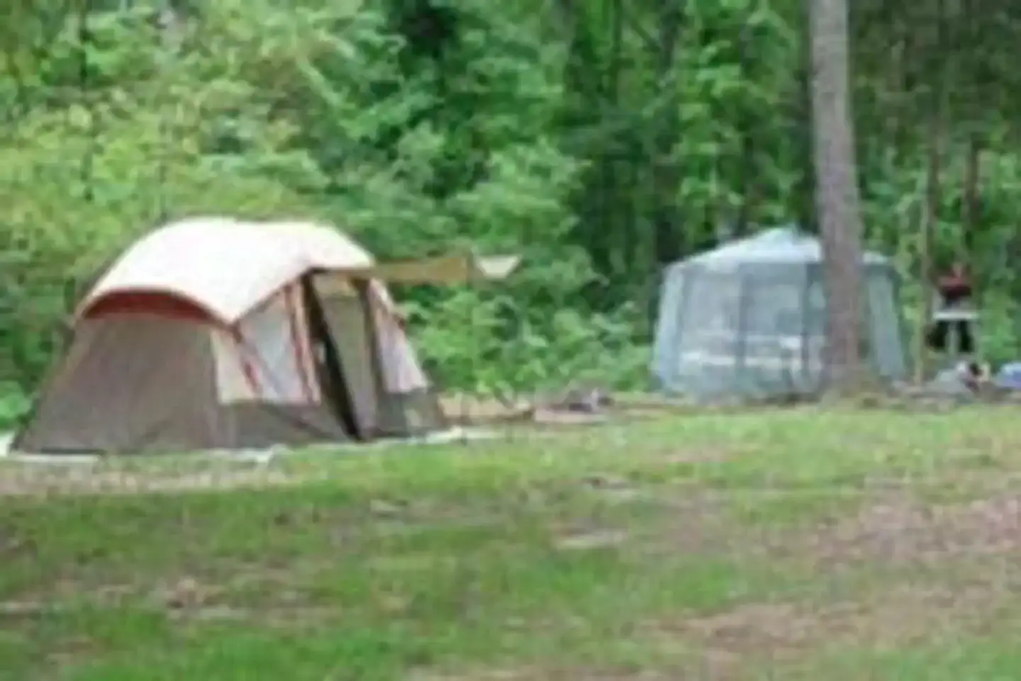 Camper-submitted photo at Dub Patton Campground near Memphis, TN