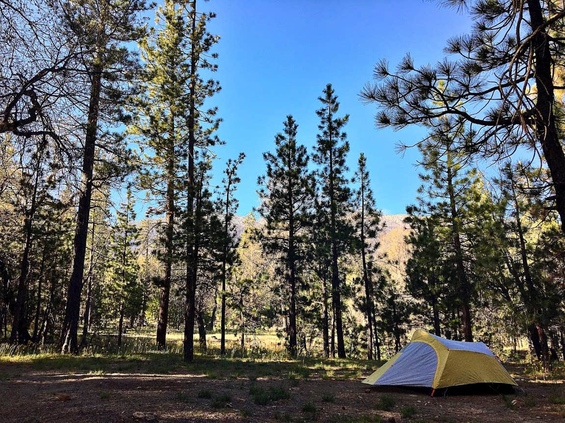 Kate W.'s photo at San Gorgonio Campground near Big Bear City, CA