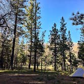 Review photo of San Gorgonio Campground by Kate W., August 9, 2019