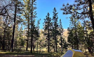 Kate W.'s photo at San Gorgonio Campground near Big Bear City, CA