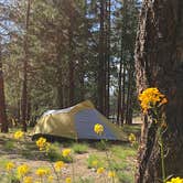 Review photo of San Gorgonio Campground by Kate W., August 9, 2019