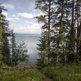 Review photo of Lizard Creek Campground - Grand Teton National Park by Cara W., August 9, 2019
