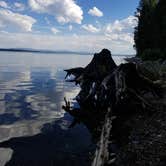 Review photo of Lizard Creek Campground — Grand Teton National Park by Cara W., August 9, 2019