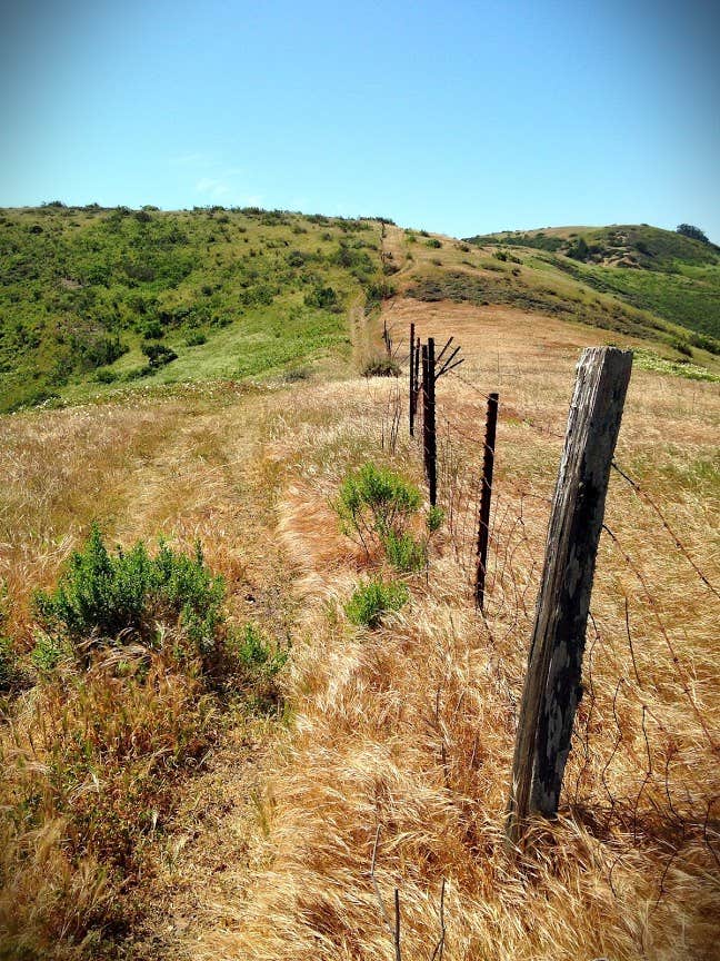 Santa Cruz Island - Del Norte Backcountry — Channel Islands National Park