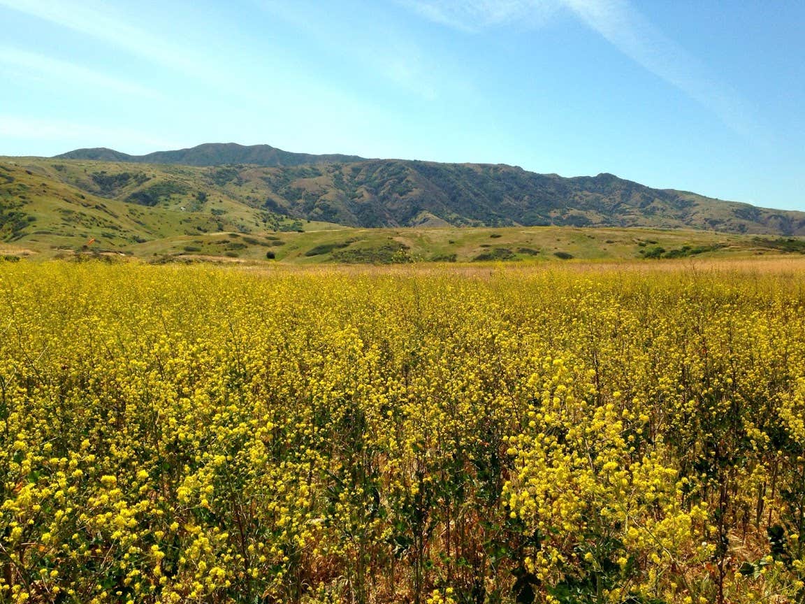 Camper-submitted photo at Santa Cruz Island - Del Norte Backcountry — Channel Islands National Park near Moorpark, CA