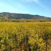 Review photo of Santa Cruz Island - Del Norte Backcountry — Channel Islands National Park by Kate W., August 9, 2019