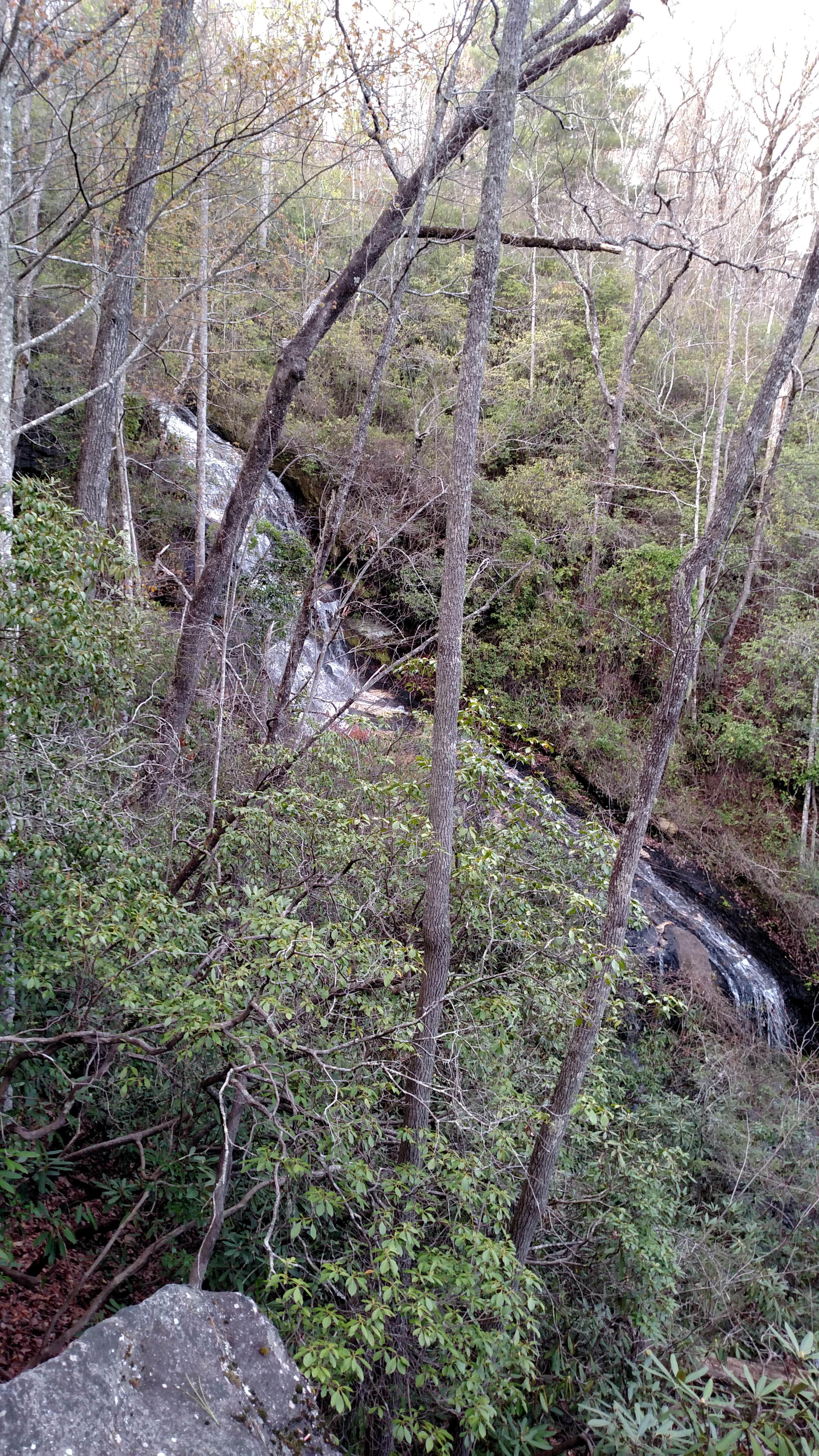 Cherry Hill Campground The Dyrt