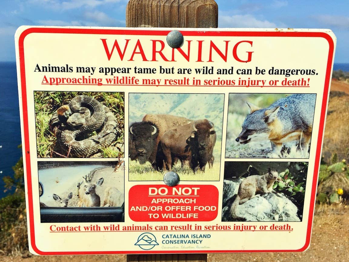 Camper-submitted photo at Parsons Landing Campground near Avalon, CA