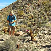 Review photo of Agua Caliente County Park Campground by Kate W., August 9, 2019