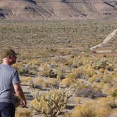 Review photo of Mid Hills Campground — Mojave National Preserve by Kate W., August 9, 2019