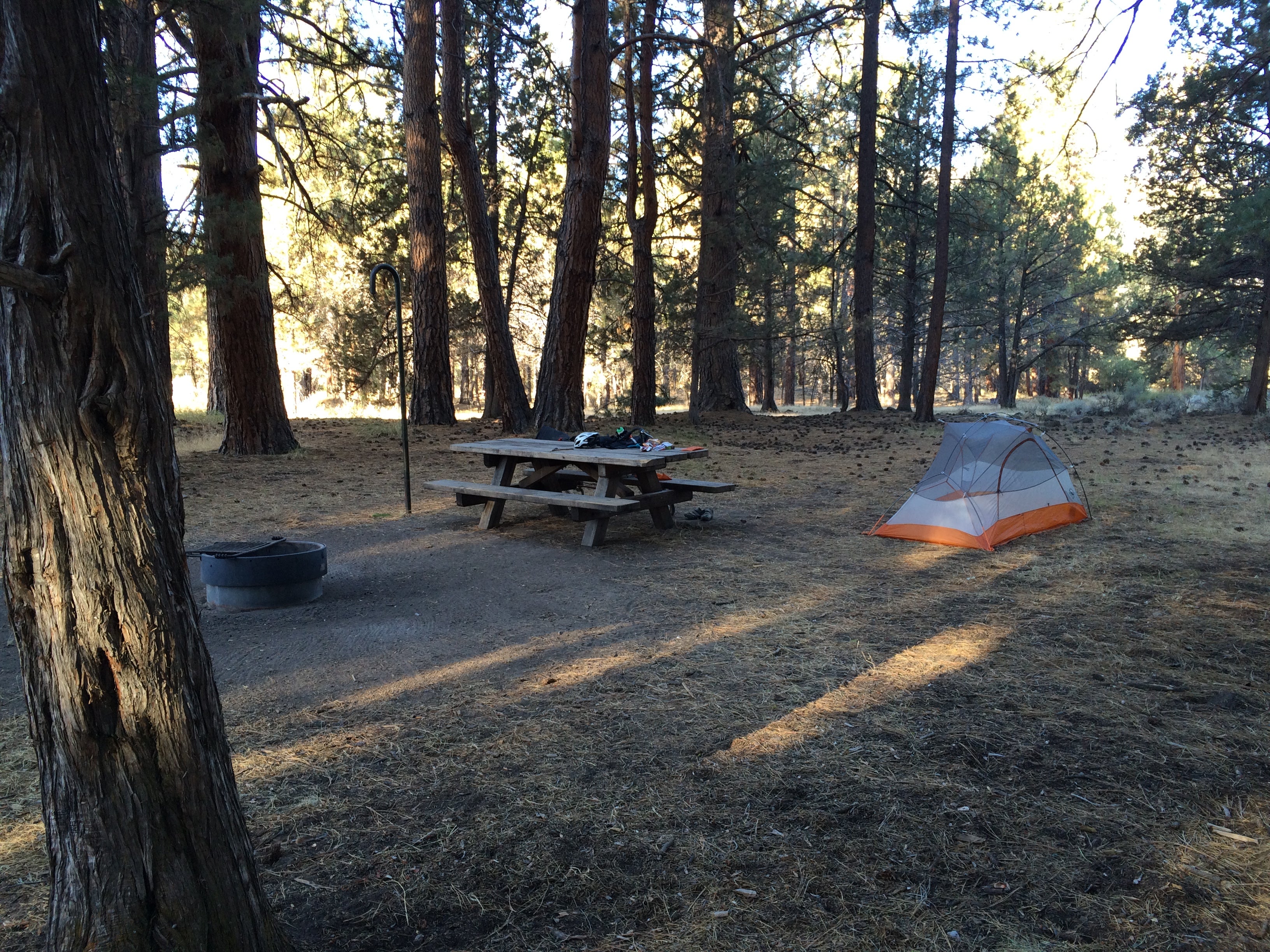 A nice open campsite, with trees.