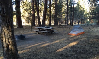 Camping near Muladhara Vector Camp Mount Shasta: Shafter Campground, Macdoel, California