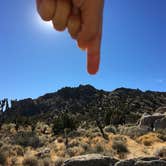 Review photo of Mid Hills Campground — Mojave National Preserve by Kate W., August 9, 2019