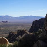 Review photo of Mid Hills Campground — Mojave National Preserve by Kate W., August 9, 2019