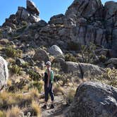 Review photo of Mid Hills Campground — Mojave National Preserve by Kate W., August 9, 2019