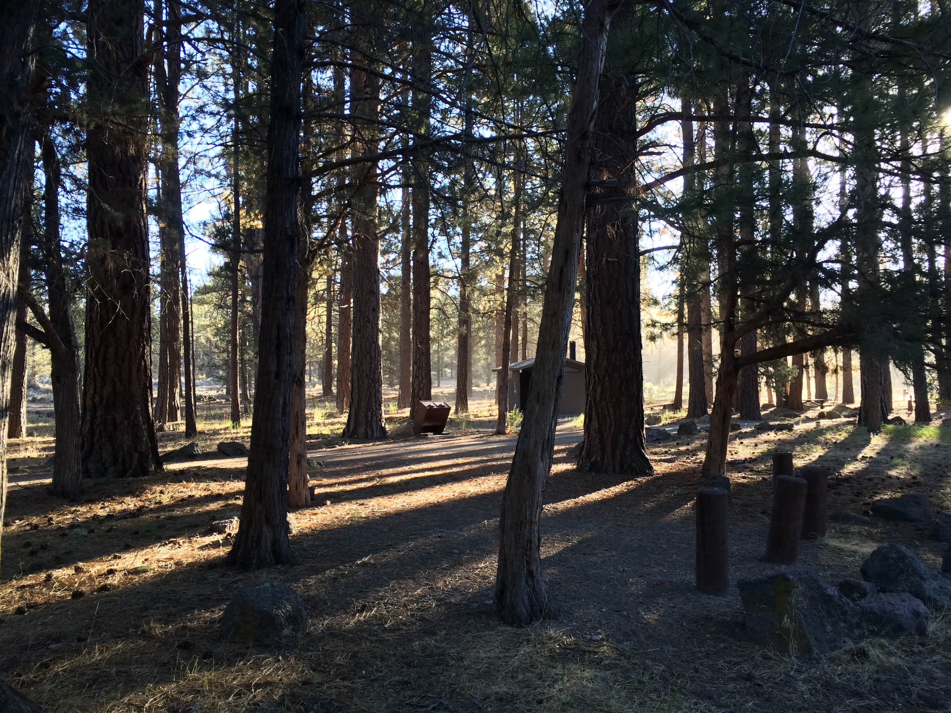 Camper-submitted photo at Shafter Campground near Dorris, CA