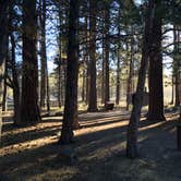 Review photo of Shafter Campground by Jessica F., September 25, 2016
