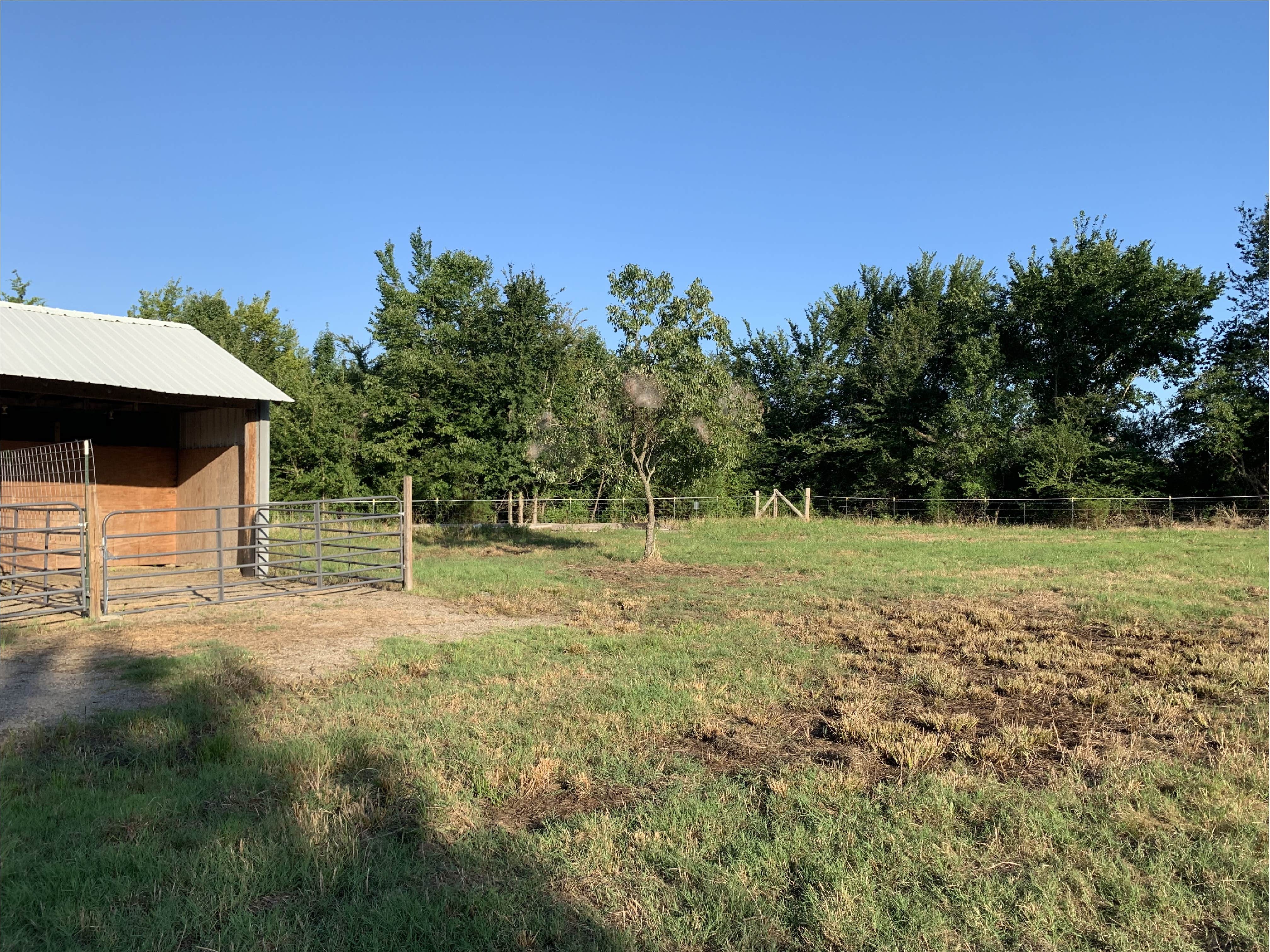 Kevin M.'s photo of a cabin at Sallisaw-Fort Smith West KOA near Proctor, OK