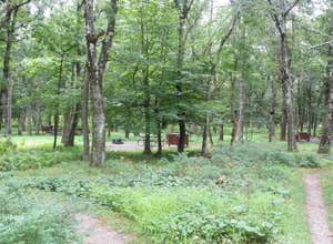 Big Meadows Campground — Shenandoah National Park