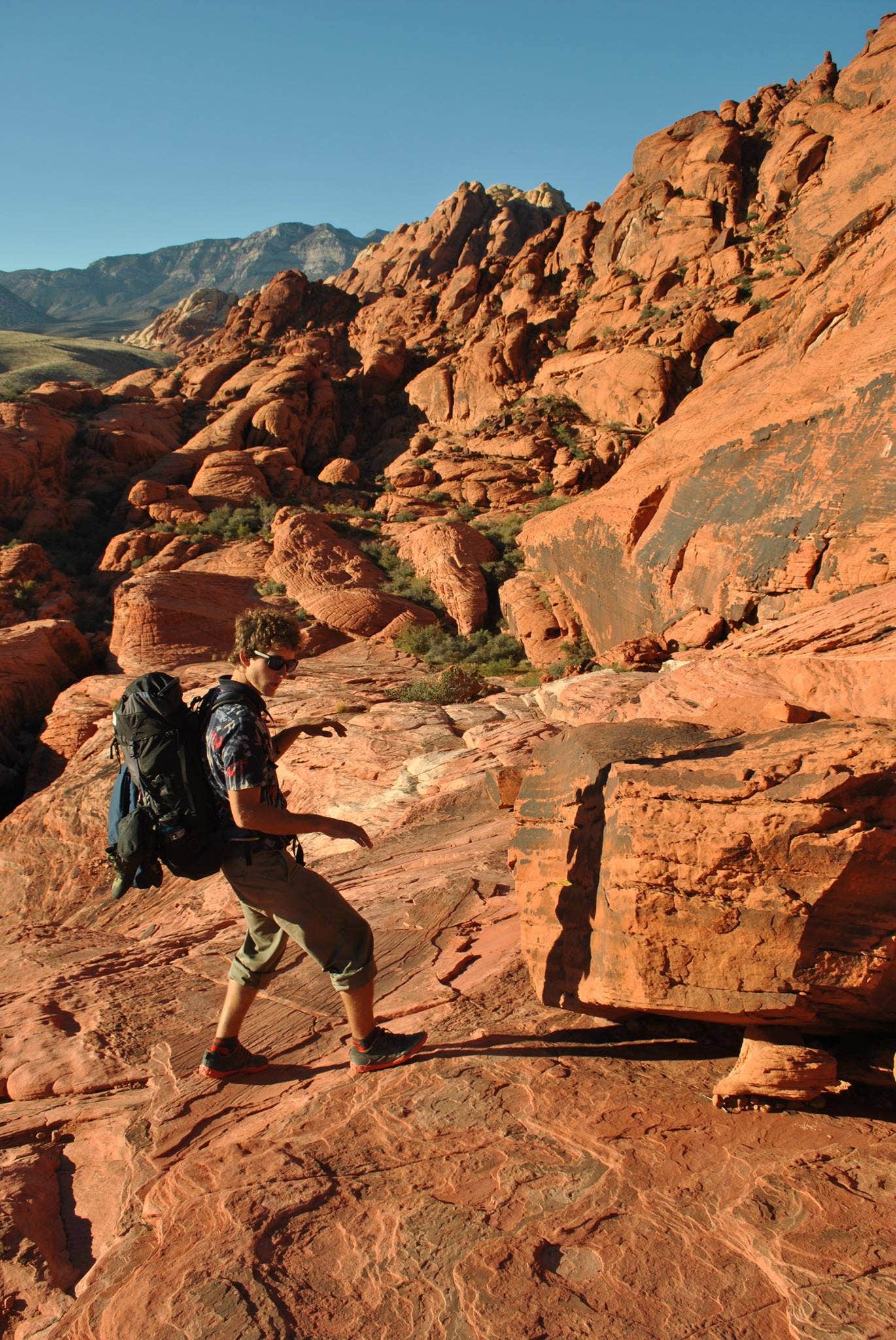 Camper submitted image from Red Rock Canyon National Conservation Area - Red Rock Campground - 5