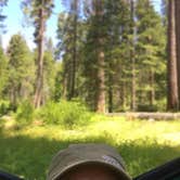 Review photo of Eshom Campground by Kate W., August 9, 2019
