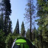 Review photo of Eshom Campground by Kate W., August 9, 2019