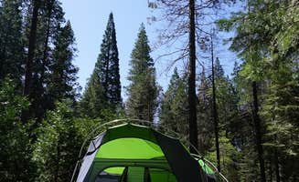Kate W.'s photo at Eshom Campground near Badger, CA