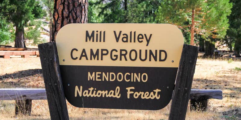 Camper submitted image from Mill Valley Campground — Mendocino National Forest