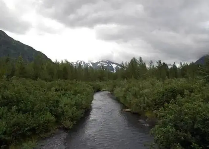 Camping near City of Whittier Camp Ground: Williwaw Campground, Whittier, Alaska