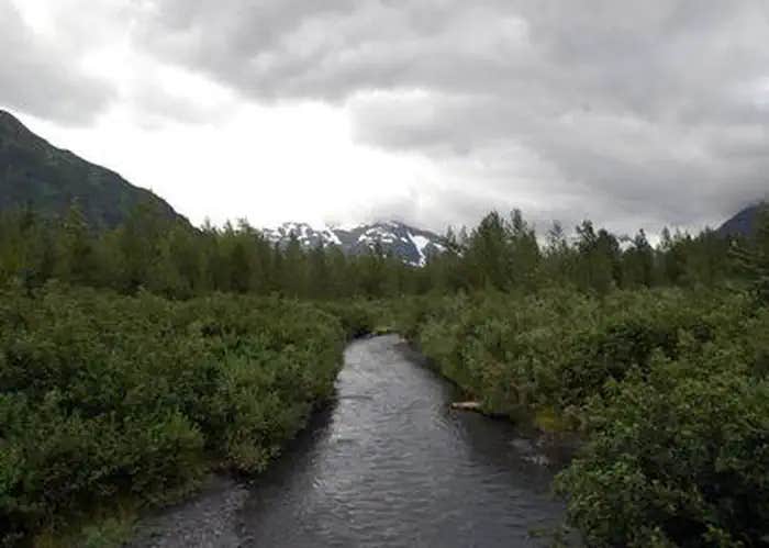 Camper submitted image from Williwaw Campground - 1