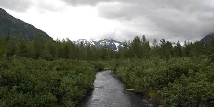 Camper submitted image from Williwaw Campground