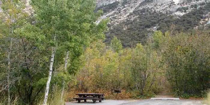 Camper submitted image from Humboldt National Forest Thomas Canyon Campground