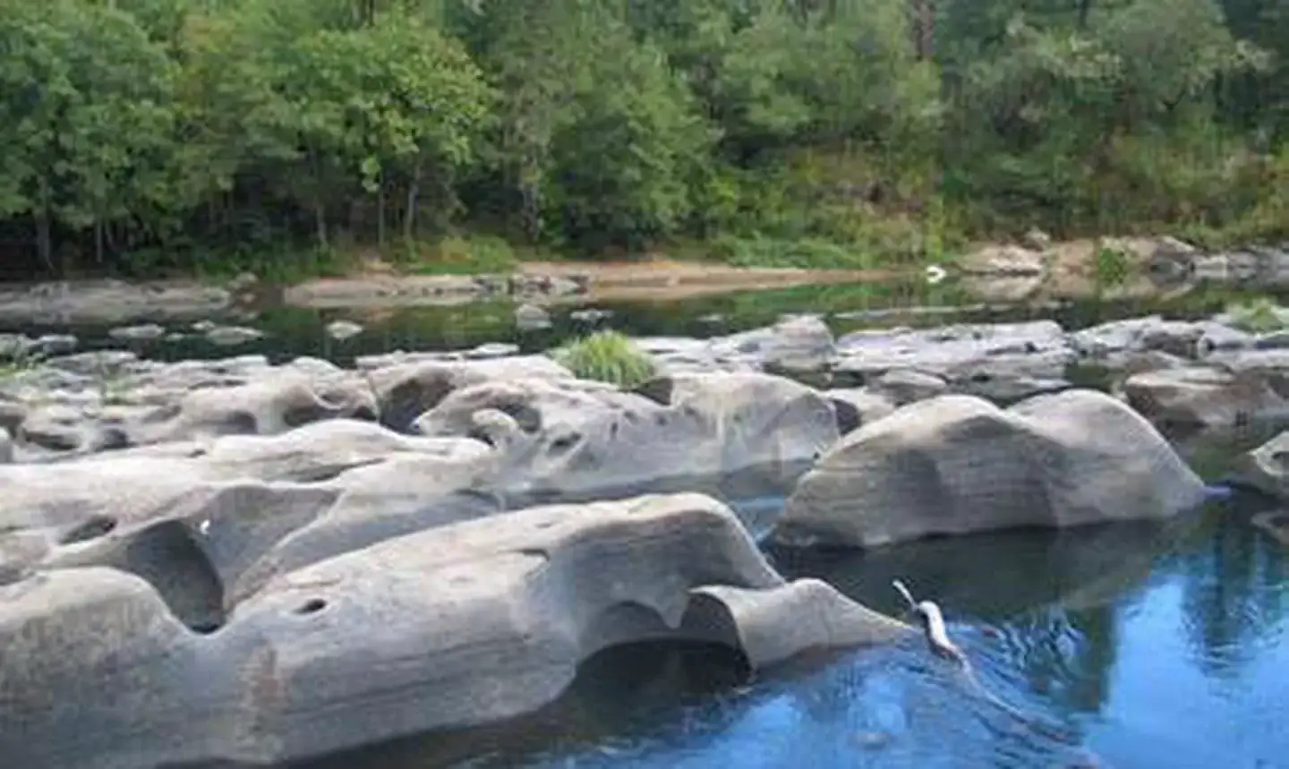 Camping near Umpqua Riverfront RV Park and Boat Ramp: Eagleview Group Campground (reservation), Elkton, Oregon