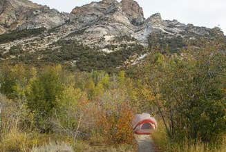 Rubyvale Camping THE 10+ BEST Campgrounds near Ruby Valley, NV