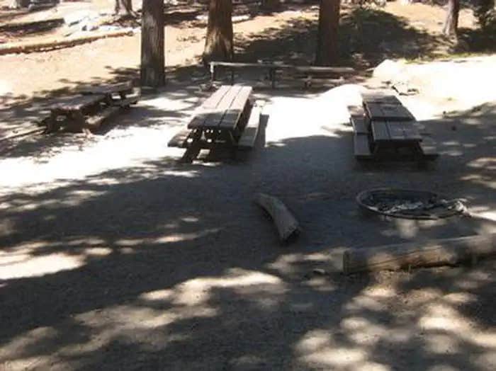 Camper submitted image from Black Mountain Group Campground (san Bernardino) - 1