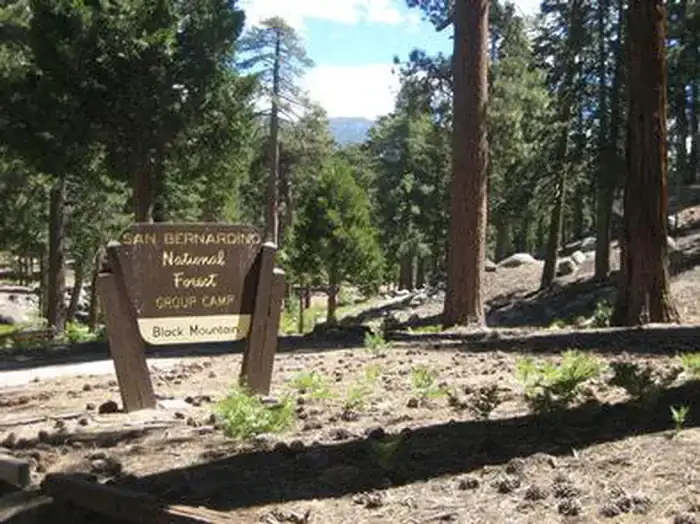 Camper-submitted photo at Black Mountain Group Campground (san Bernardino) near Idyllwild-Pine Cove, CA