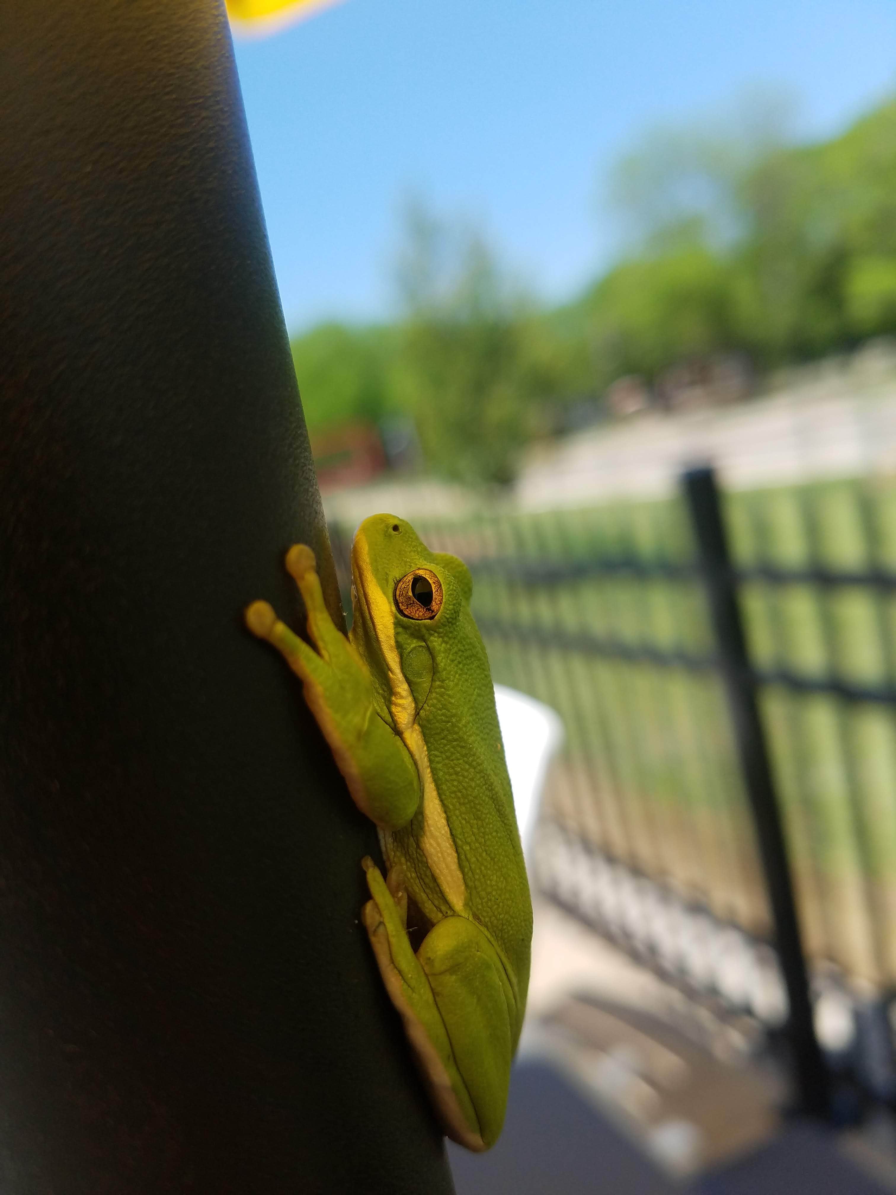 You never know what you might find!