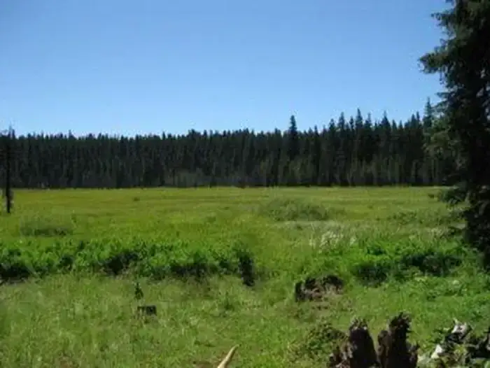 Camper-submitted photo at Joe Graham Horse Campground near Government Camp, OR