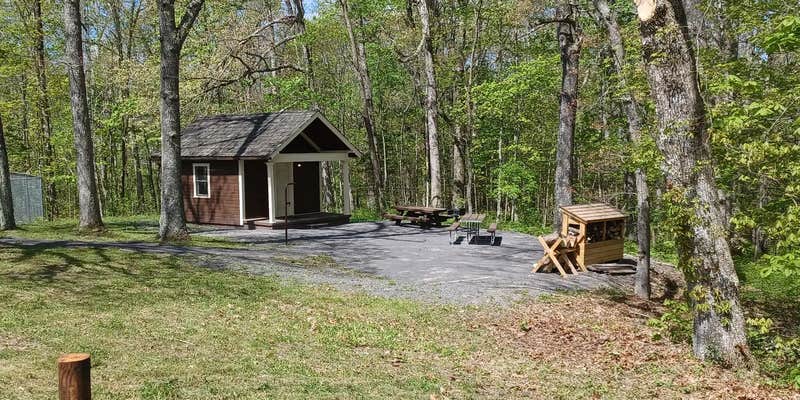 Camper submitted image from Hopkins Mountain Fireman's Cabin — Monongahela National Forest