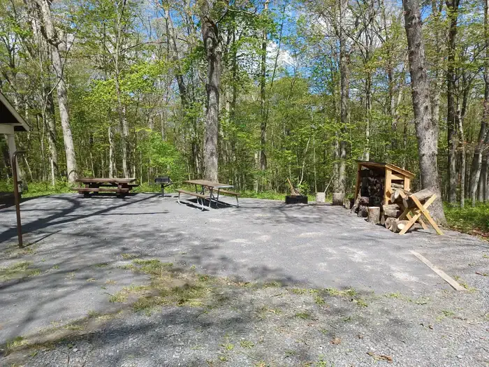 Camper-submitted photo at Hopkins Mountain Fireman's Cabin — Monongahela National Forest near White Sulphur Springs, WV