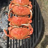 Review photo of Webb County Campground & Park by Amy P., September 25, 2016