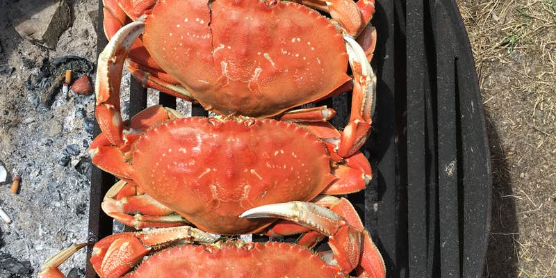 Camper submitted image from Webb County Campground & Park