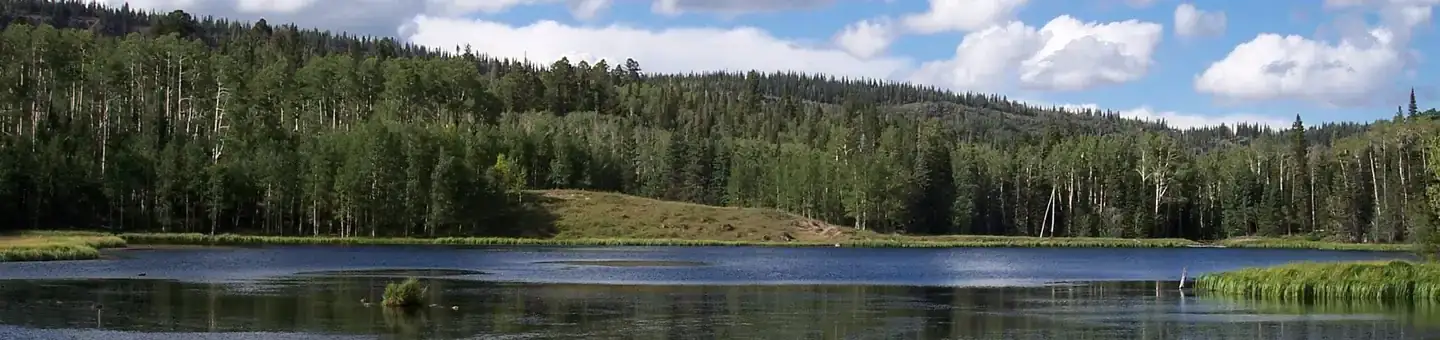 Camping near Posy Lake Campground: Dixie National Forest Barker Recreation Area, Escalante, Utah