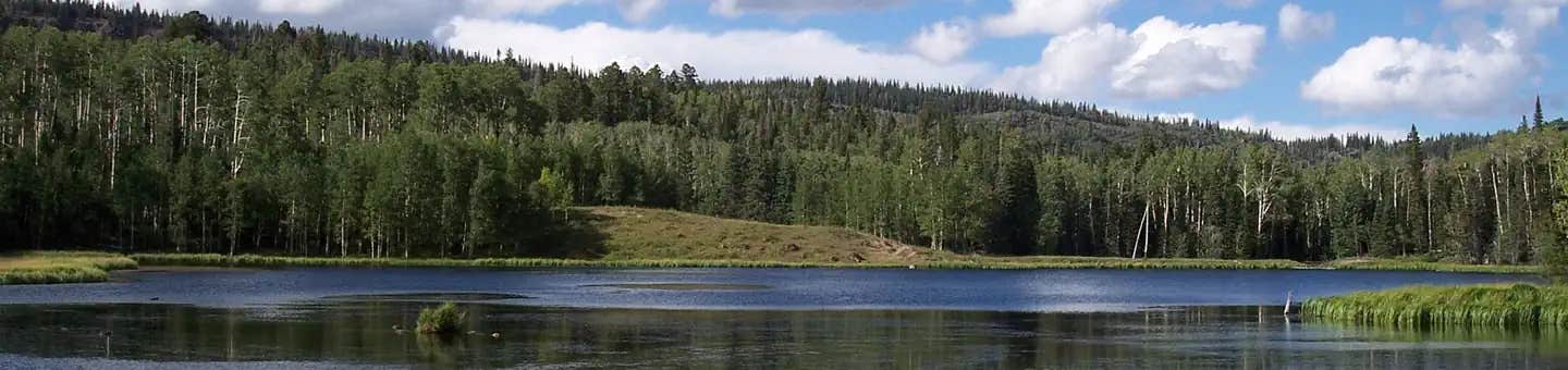 Camper submitted image from Dixie National Forest Barker Recreation Area - 1