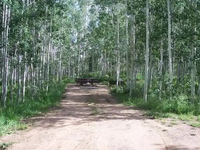 Camper-submitted photo at Dixie National Forest Barker Recreation Area near Capitol Reef National Park
