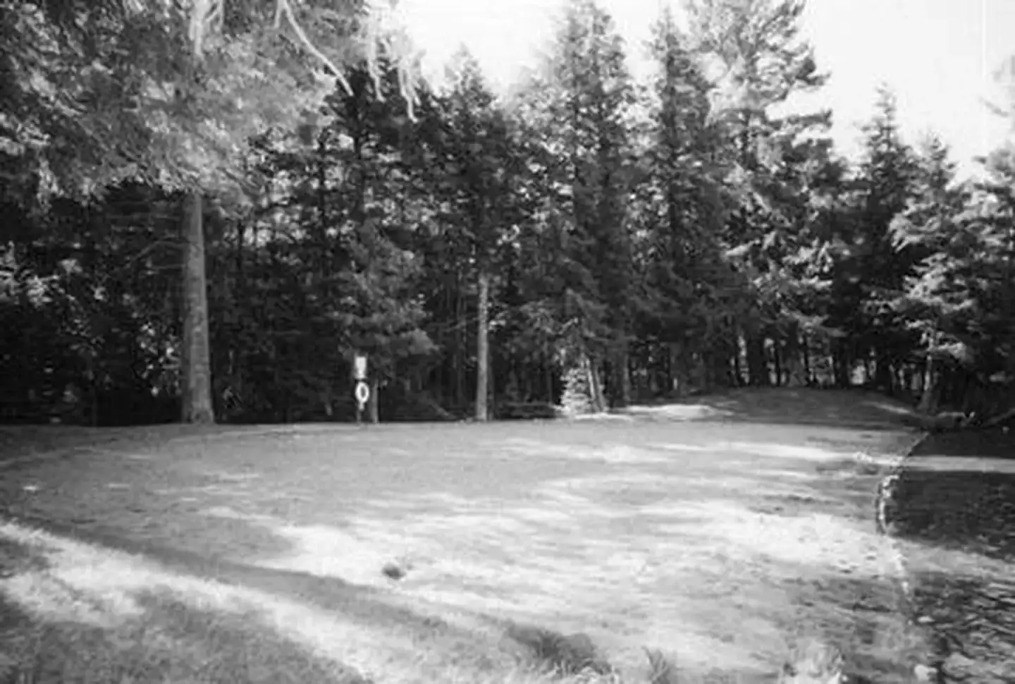 Camper-submitted photo at Laurel Lake Campground near Chequamegon-Nicolet National Forest