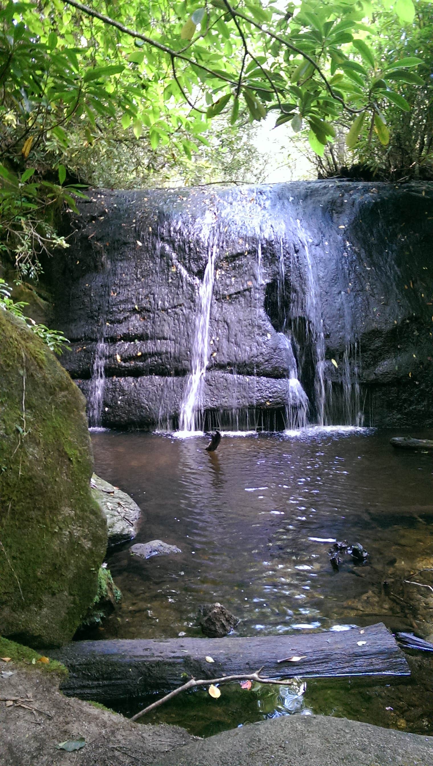 Camper submitted image from Panthertown Valley Backcountry Area - 5