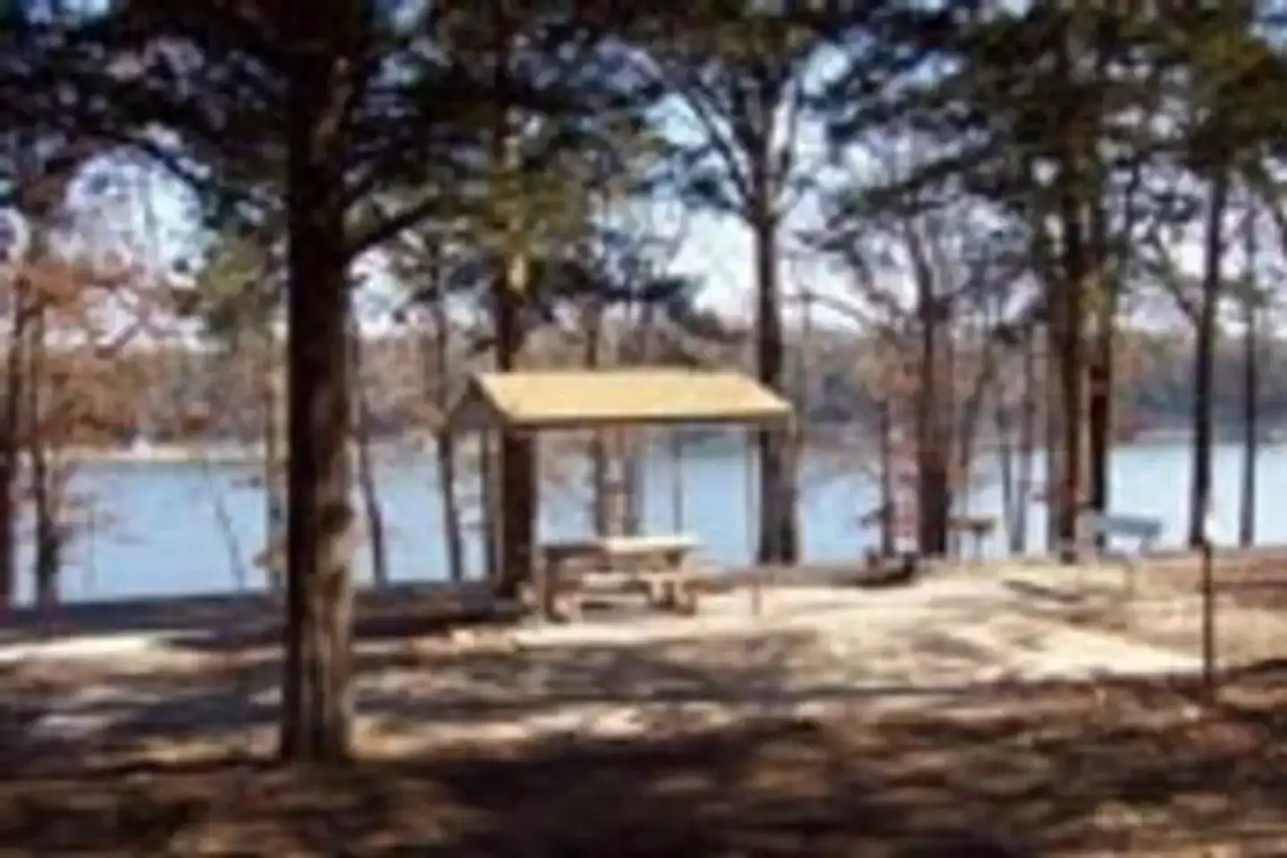 Camper-submitted photo at Tucker Hollow Park near Greeson Lake